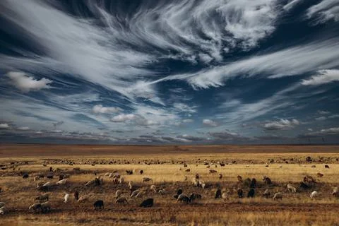 Whispers of the Wind Foto stock