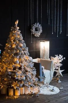 Whispers of Winter Elegance Foto stock