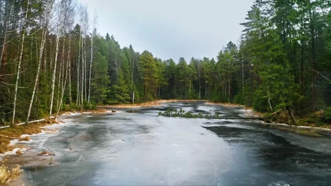 Whispers of Winter, First Ice Gracing Forest Stream Amidst Towering Pines Stock Footage 257782014