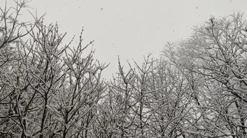 Whispers of Winter Video stock 303515024