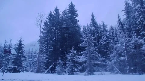 Whispers of Winter Video stock 303515038