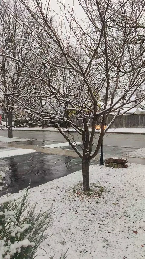 Whispers of Winter Video stock 303518164