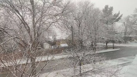 Whispers of Winter Video stock 303518203