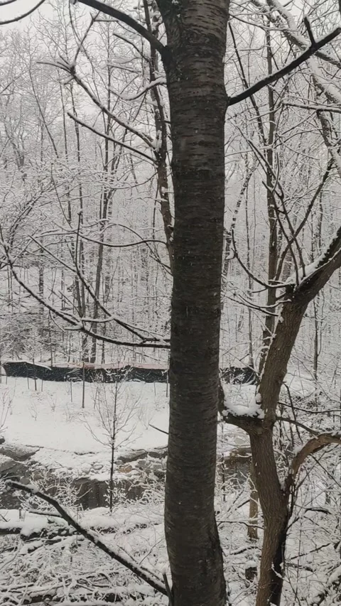 Whispers of Winter Video stock 303518215