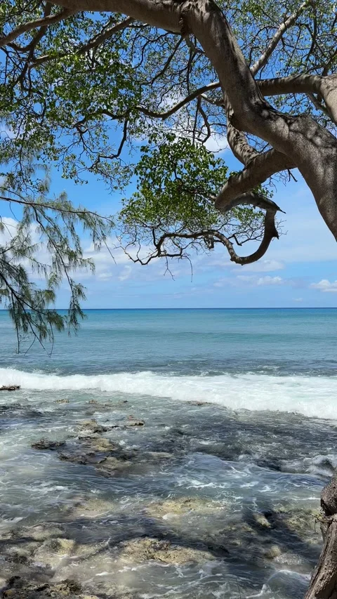 Whispy clouds in blue sky over blue ocean washing onto tropical shoreline Stock Footage 335895041
