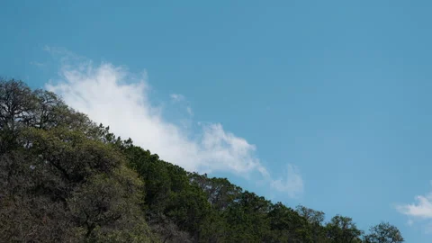 Whispy clouds Timelapse moving over a tree covered hillside on a clear day Video stock 304122546