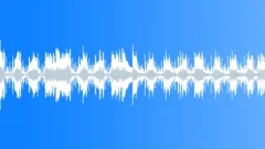 Whistle Acoustic (Loop 02)Stock Music