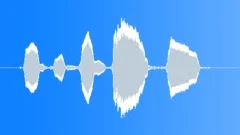 Whistle Calling 2 Sound Effect