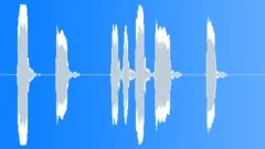 Whistle ringSound Effect