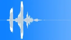 Whistle ring whooshSound Effect