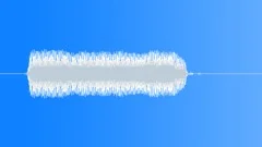 WHISTLE, SCOUT Sound Effect