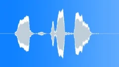 Whistle Signal 1 Sound Effect