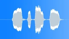 Whistle Signal 3 Sound Effect
