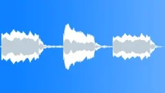 WHISTLE, STEAMSound Effect
