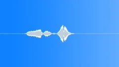 Whistles Whistles Human Whistles Medium Pov Extended Whistle CallSound Effect