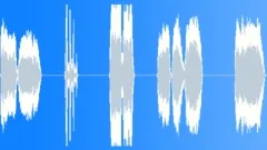 Whistles_Male5xSound Effect