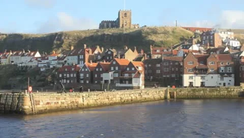 Whitby seagulls Stock-Footage 9430970