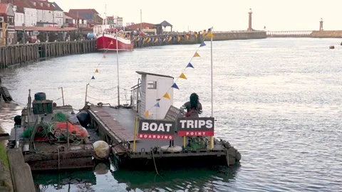 Whitby trips and excursions 스톡 동영상 218438376