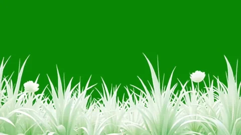White 3D Grass and Flowers Border Animation on Green Screen Background Stock Footage 335632661