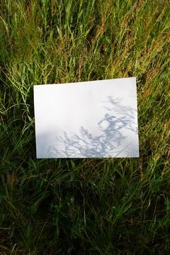 A white A4 sheet mockup in a field of grass with shadows from plants Stock Photos