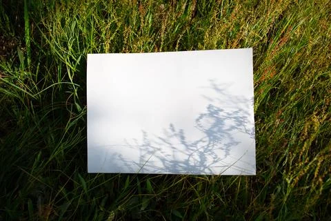 A white A4 sheet mockup in a field of grass with shadows from plants Stock Photos