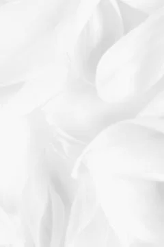 White abstract background Stock Photos