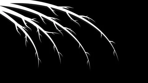 White abstract beautiful branches, stems, lines with shadows with patterns an Stock Illustration