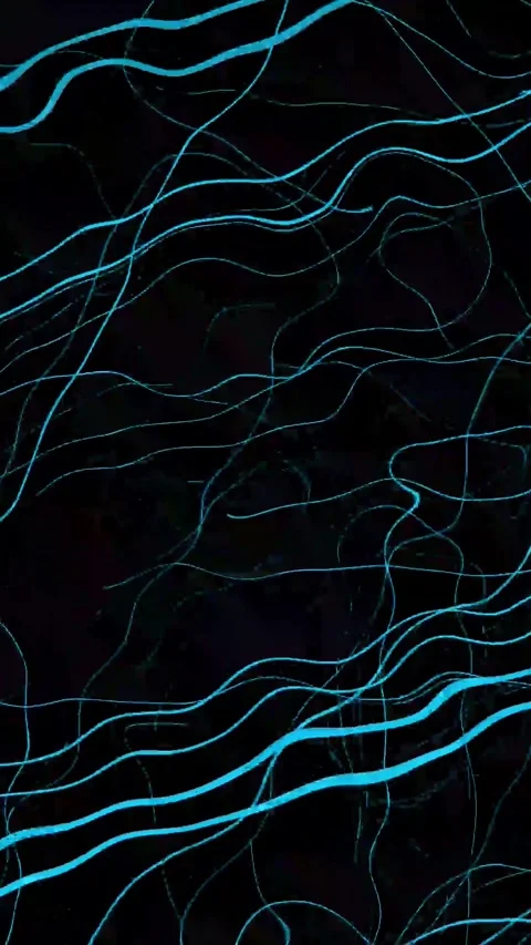 White abstract lines seamless looping pattern animation background vertical.. Stock Footage 292369555