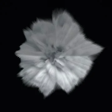 White abstract rose Foto stock