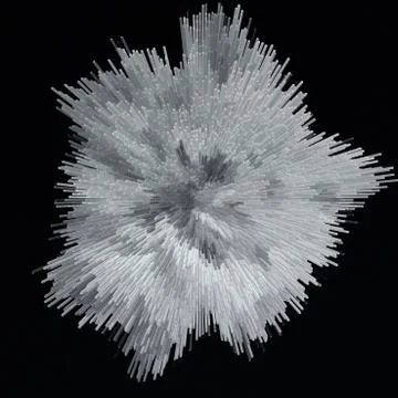 White abstract rose Foto stock