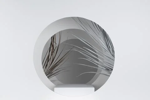 White abstract scene with rectangle podium, dry palm leaves, circles frames,  Stock Photos