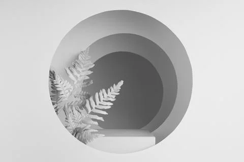 White abstract scene with rectangle podium, white fern leaves, circles frames Stock Photos