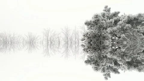 White Abstraction Stock Footage 123015843