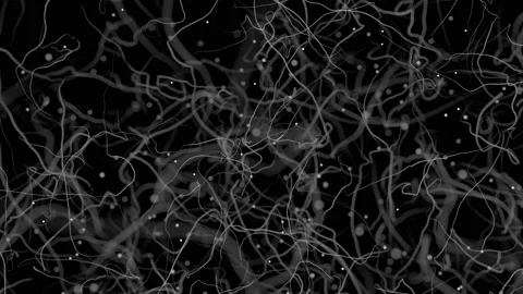 White abstraction magic particles move on a black background. 스톡 동영상 122079173