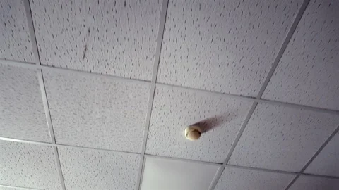 White acoustic drop ceiling with square perforated tiles in grid layout, vi.. Video stock 314609459