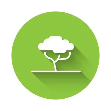 White African tree icon isolated with long shadow background. Baobab, acaci.. Stock Illustration