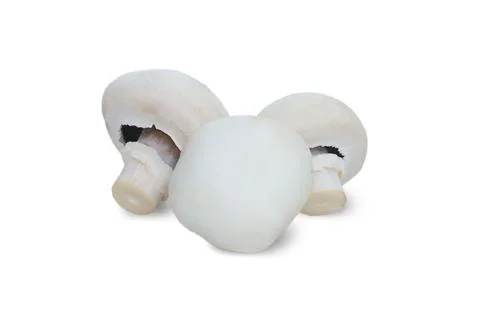 White agaricus isolated on a white background. Ripe mushrooms Stock Photos
