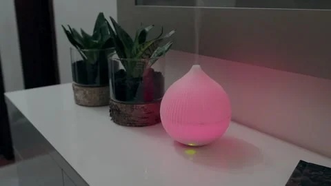 White air diffuser with soft vapor beside potted plants on modern counter Stock Footage 308941792