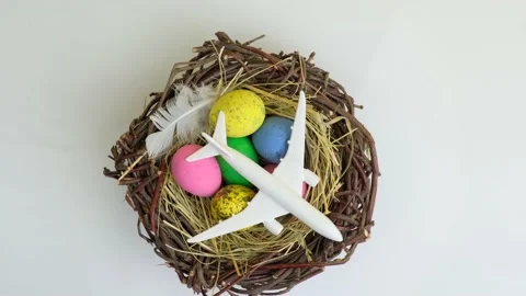 White airplane and easter egg in nest Stock Footage 170678507