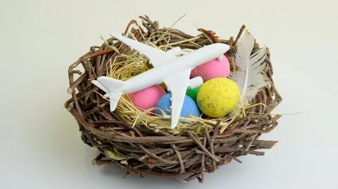 White airplane and easter egg in nest Stock Photos