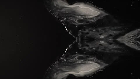White Alien in the Black Sky - elegant white "thing" evolves -  NOT CGI, dr.. Stock Footage 257950142