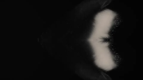 White Alien in the Black Sky - elegant white "thing" evolves -  NOT CGI, dr.. Stock Footage 257950281