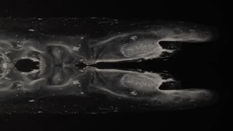 White Alien in the Black Sky - elegant white "thing" evolves -  NOT CGI, dr.. Stock Footage 257950296