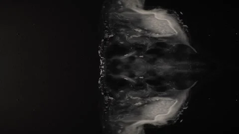 White Alien in the Black Sky - elegant white "thing" evolves -  NOT CGI, dr.. Stock Footage 257950395