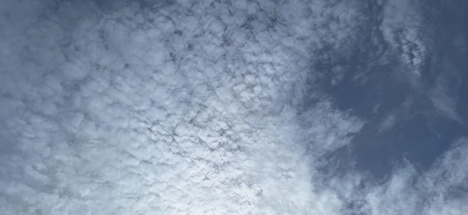 White Altocumulus Clouds Ripple Pattern in Blue Sky Background Фото