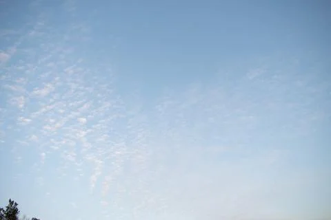 White altocumulus clouds with small sunset glowand tree in corner. Stock Photos