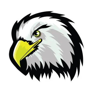 White American North Bald Eagle Head Tattoo Design. Logo Prey Bird Isolated on Stock Illustration