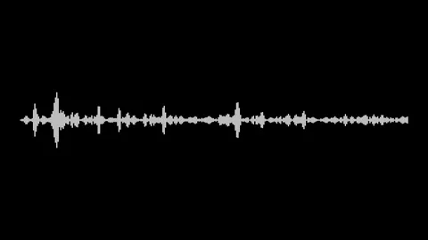 White and black audio waveform Stock Footage 103327917