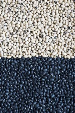 White and black beans. Stock Photos