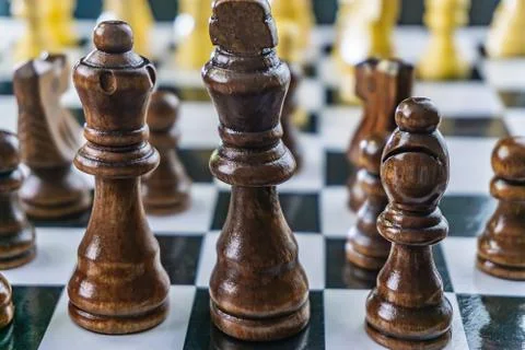 White and black chess on the Board 写真素材